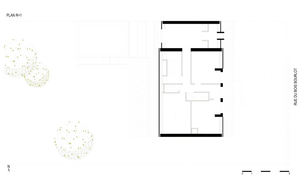 studioSCOP-Ste Genevieve-Extension maison-plan r+1